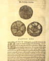 Chapitre sur les oursins réguliers de l'Histoire des poissons de Guillaume Rondelet (1554)