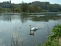 Ruhr an der Alten Fähre