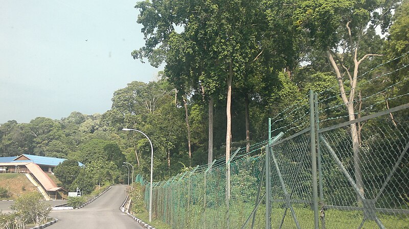 File:71250 Pasir Panjang, Negeri Sembilan, Malaysia - panoramio (17).jpg