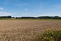 près Ostbarthausen, le champ