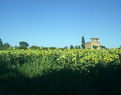 Fortified church of Santa Maria de Vilamacolum