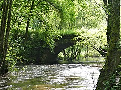 Le pont-Périt recouvert d'herbes.