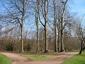 Français : Parc de Pourtalès