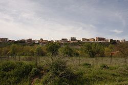 View of Roa de Duero, 2010