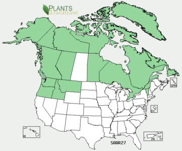 Salix arctica range map