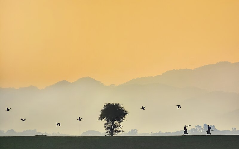 File:Tanguar haor, Bangladesh 01.jpg