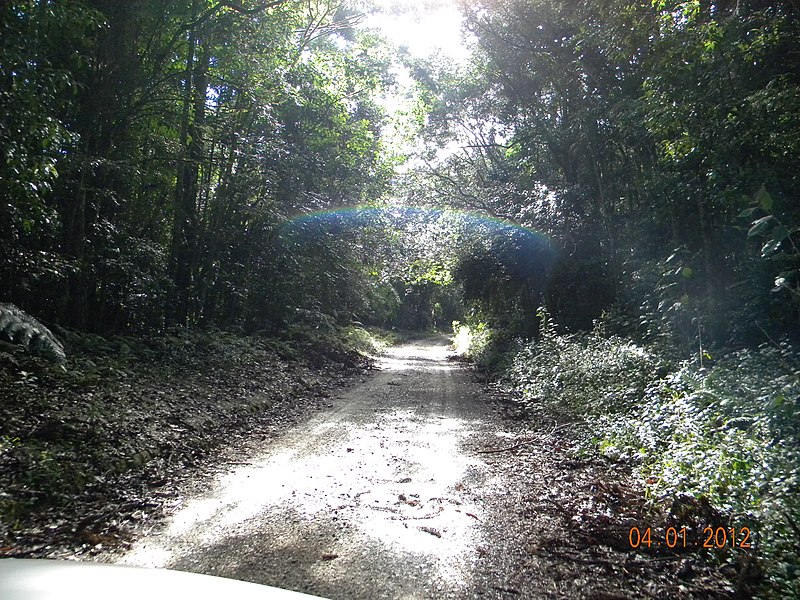 File:Acesso ao Morro do Anhangava - panoramio (1).jpg