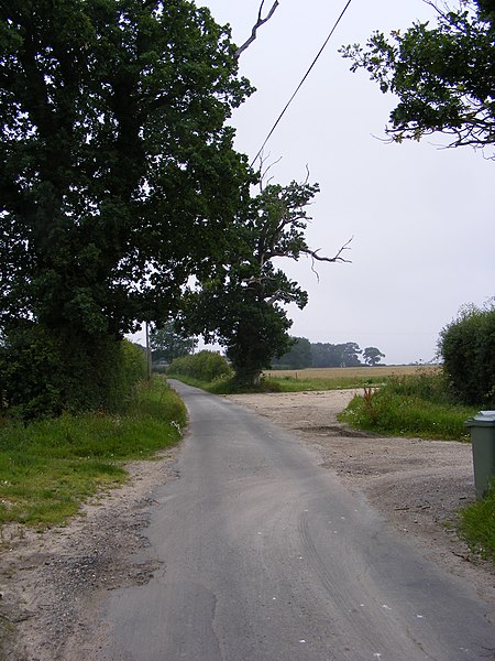 File:Guestwick Lane - geograph.org.uk - 2525276.jpg