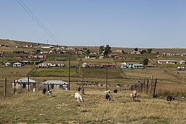 Qunu, South Africa