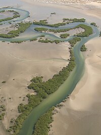 Aerial photo of a river flowing through a desert with some vegetation