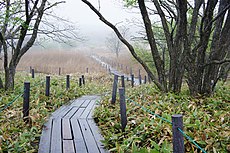 八島ヶ原湿原