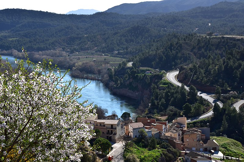 File:Ascó, Baix Ebre, Tarragona. - Flickr - Angela Llop.jpg