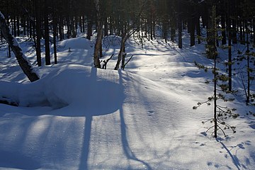 Nature of Inari