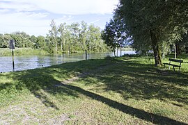 Marina Rheinhof - panoramio (32).jpg