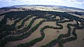 Image 20Contour planting integrated with animal grazing on Taylor's Run farm, Australia (from Agroforestry)