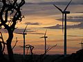 Image 45The Australian Canunda Wind Farm, South Australia at sunrise (from Wind farm)