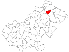 Location in Satu Mare County