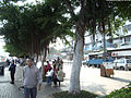 西貢市內的海濱長廊 西贡市内的海滨长廊 Sai Kung Waterfront Promenade, Sai Kung, Hong Kong