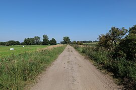 Track in Malchin 2022-09-08 02.jpg