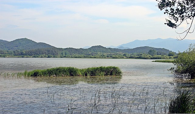 Upo Wetland by 최옥석