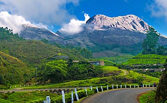 Munnar hill station, Kerala