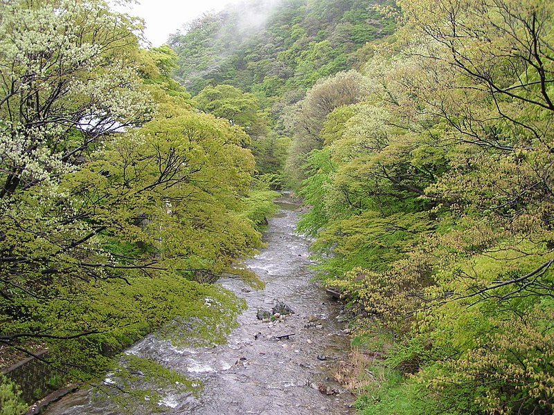 File:Gohyakugawa.jpg