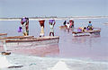 Lac Rose, Senegal