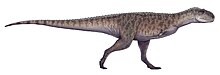 Rajasaurus restoration.jpg