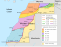 Image 8System of the Moroccan Walls in Western Sahara set up in the 1980s (from Western Sahara)