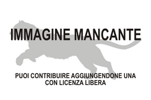 Immagine di Styriofelis mancante