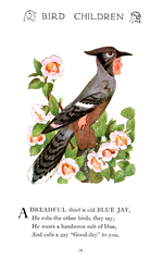 Cyanocitta cristata (aka: Blue Jay) 60 in: Bird Children 1912