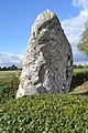 Menhir de la Grée à Midi