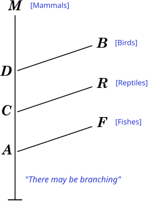 Diagram in Robert Chambers's 1844 Vestiges of the Natural History of Creation