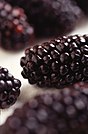 Blackberries