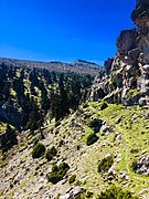 Cañada de Froncaire y Pico Torrecilla (1.919 m) en Sierra de las Nieves, Málaga.jpg