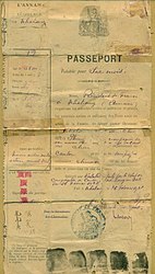 法属印度支那安南保护国向中国公民签发的护照（1925 年）