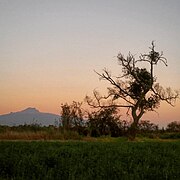 Volcan Malinche.jpg