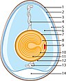 2004年11月14日 (日) 06:42版本的缩略图