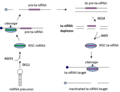 2012年12月16日 (日) 02:55版本的缩略图