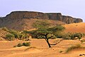 Paysage du plateau de l'Adrar