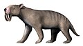 Thylacosmilus