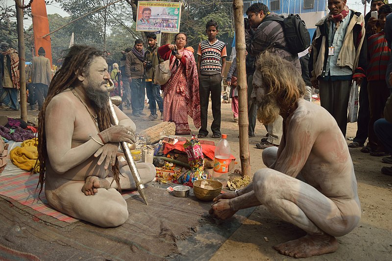 File:Naga Sadhus - Gangasagar Fair Transit Camp - Kolkata 2013-01-12 2821.JPG