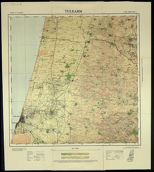 File:Survey of Palestine, Palestine (FL7330149 2366953).jpg