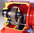 spur gear