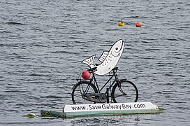 Salmon on a bicycle - geograph.org.uk - 4297744.jpg