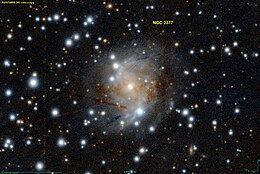 NGC 2377 PanS.jpg