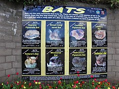 Bats notice, Belfast Zoo - geograph.org.uk - 1847829.jpg