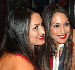 The Bella Twins