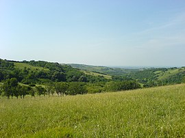 Fruška Goros kraštovaizdis