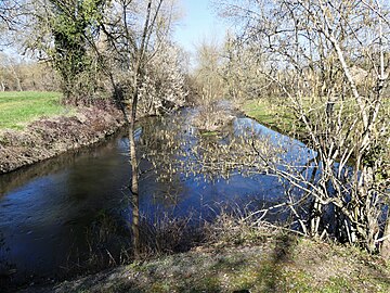 Confluent du Naussac et d'un bras de l'Isle.